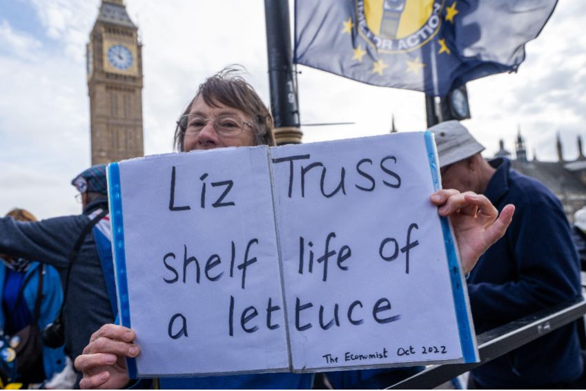 Liz
